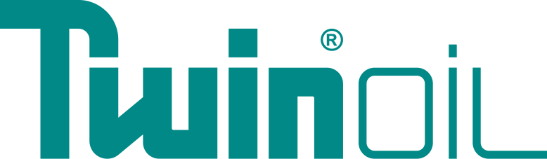 twin logo