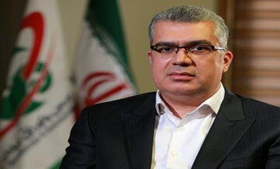فرش دستباف میراث ماندگار ظرفیت پایدار توسعه تجارت 1 فرش دستباف میراث ماندگار ظرفیت پایدار توسعه تجارت